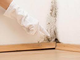  Decherd, TN Mold Removal Services Pros